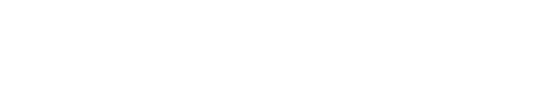 solidskillsy logo white
